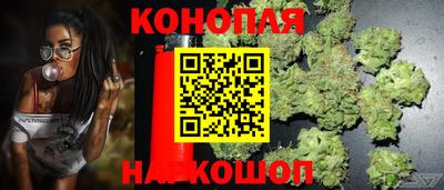 эйфоретик Тайшет
