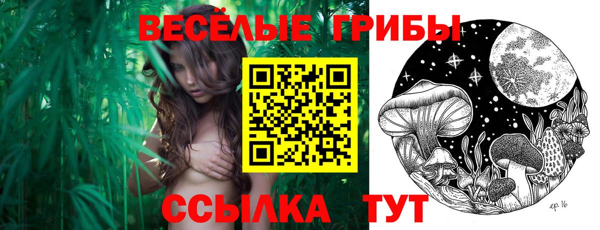 Псилоцибиновые грибы ЛСД Кыштым